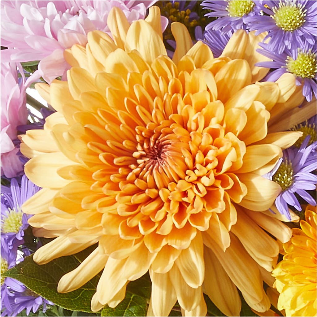 Countryside Bouquet – SOUTHERN BELLE'S FLORIST, Easley SC