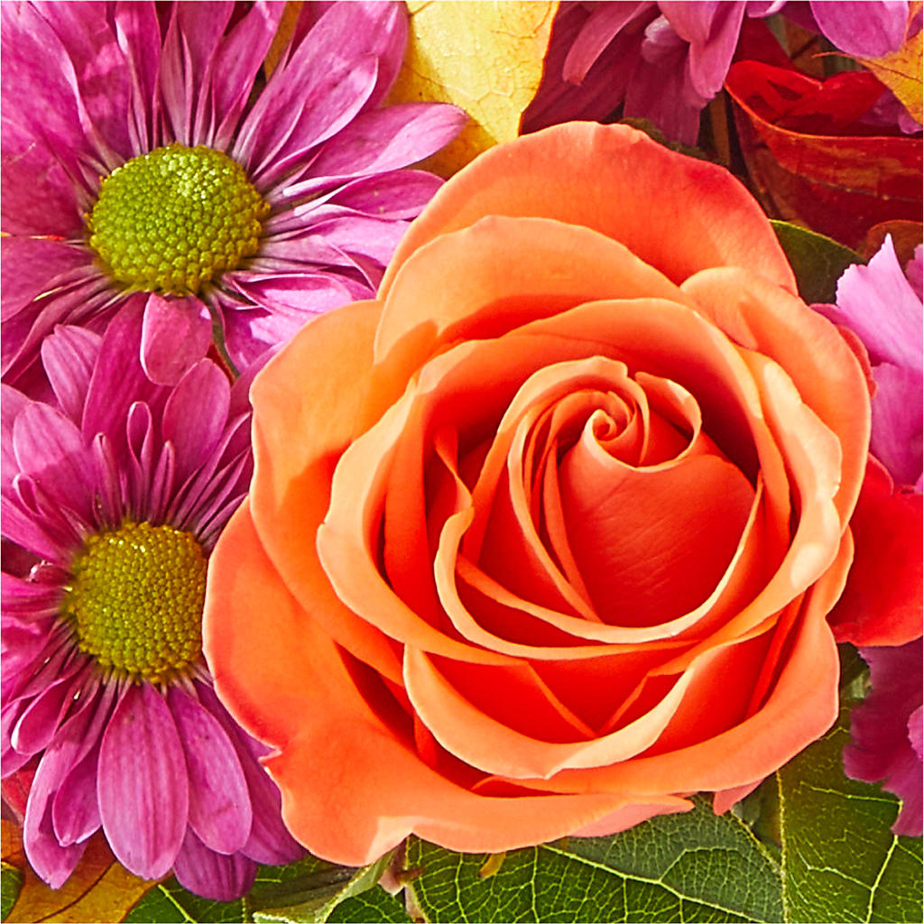 Mum's the Word Bouquet – SOUTHERN BELLE'S FLORIST, Easley SC