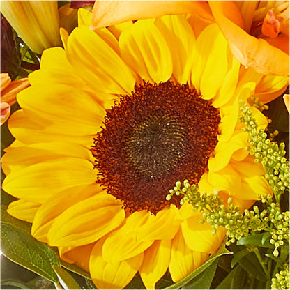 Seasons Change Bouquet – SOUTHERN BELLE'S FLORIST, Easley SC