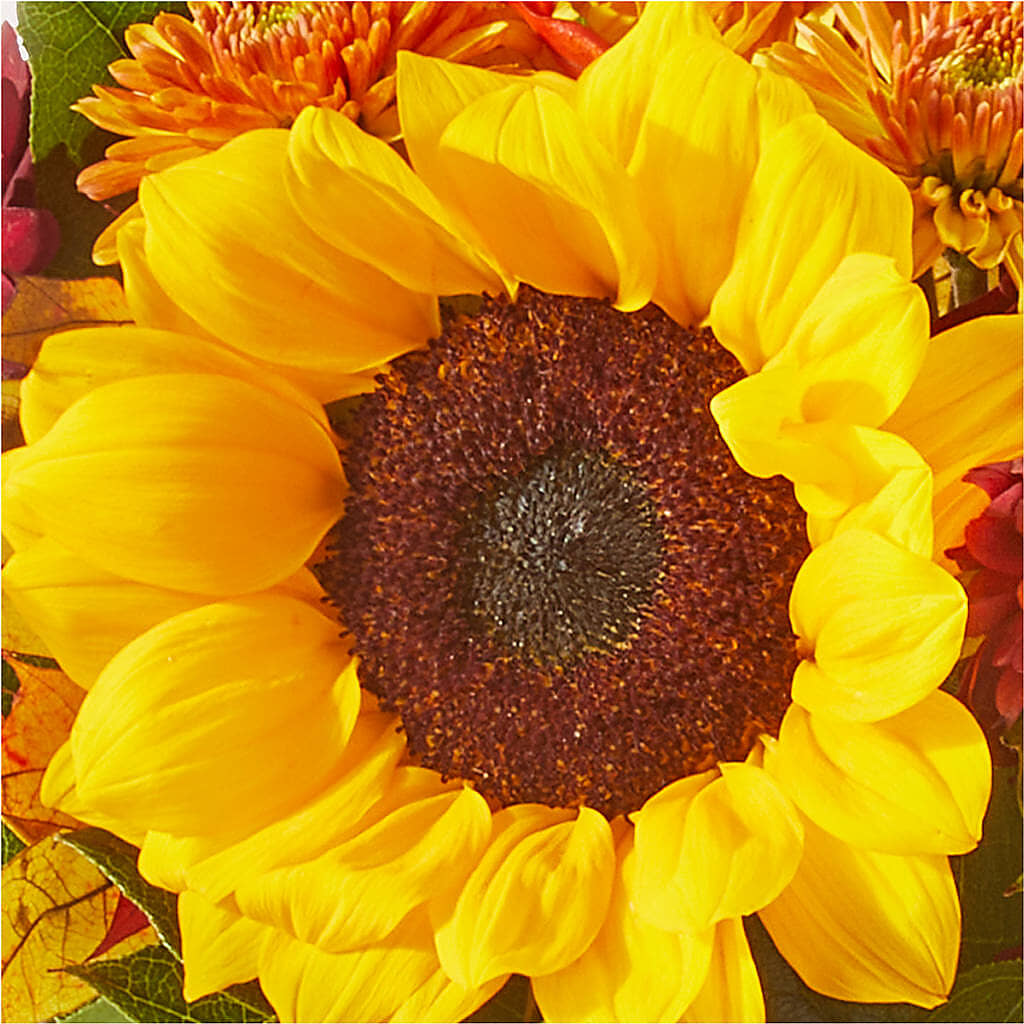 Sunny Side Bouquet – SOUTHERN BELLE'S FLORIST, Easley SC
