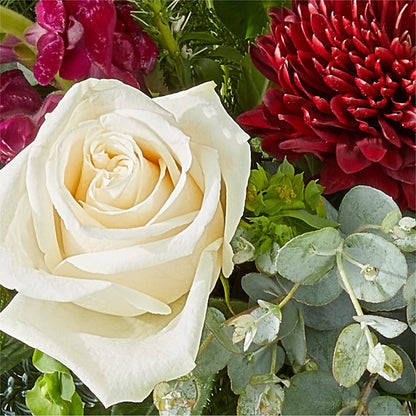 Cranberry Fizz Bouquet – SOUTHERN BELLE'S FLORIST, Easley SC