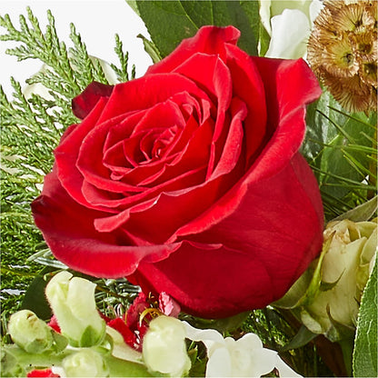 Deck the Halls Bouquet – SOUTHERN BELLE'S FLORIST, Easley SC