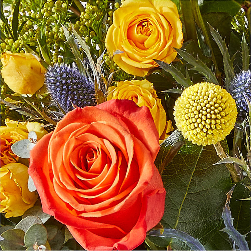 Disco Bouquet – SOUTHERN BELLE'S FLORIST, Easley SC