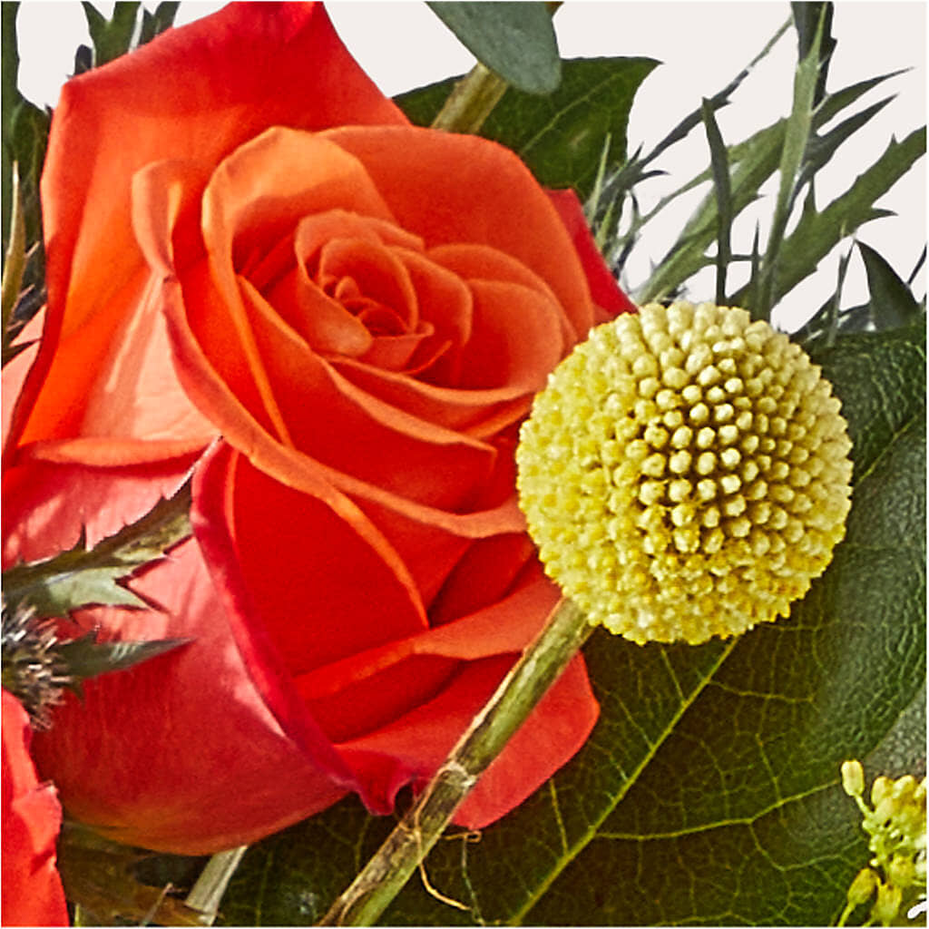 Disco Bouquet – SOUTHERN BELLE'S FLORIST, Easley SC