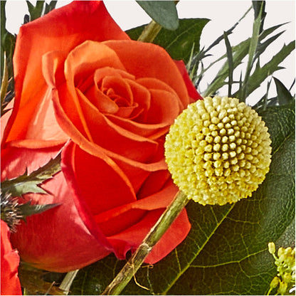 Disco Bouquet – SOUTHERN BELLE'S FLORIST, Easley SC