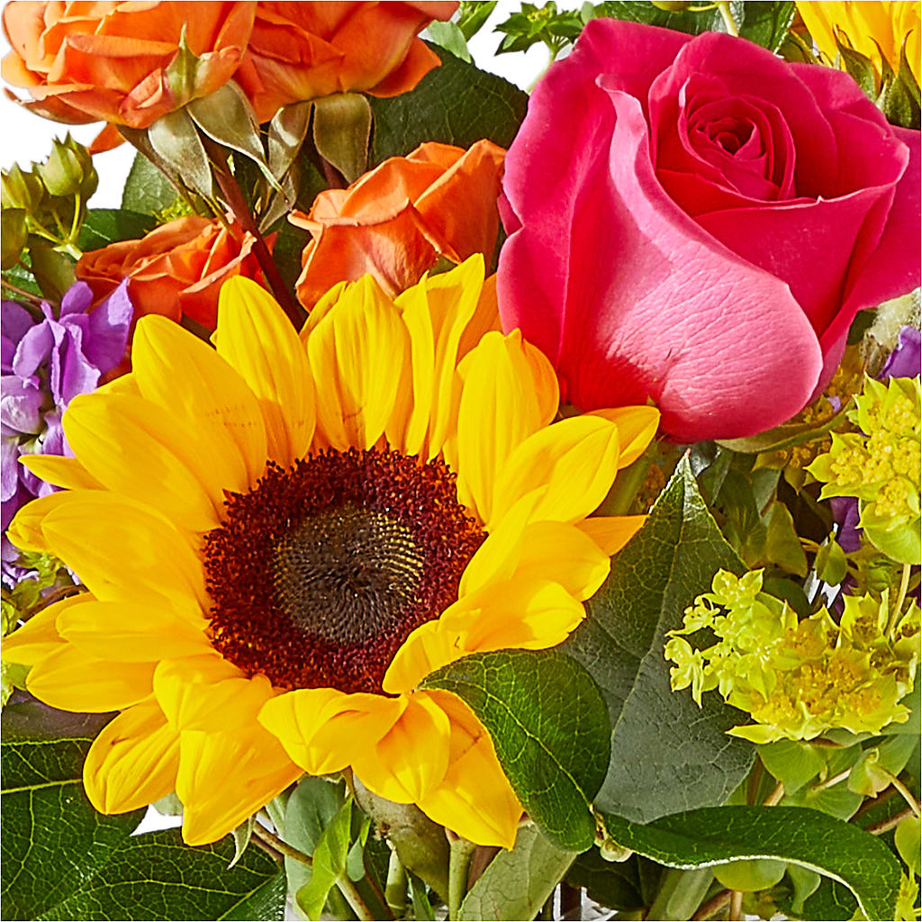 Vibrant Greetings Bouquet – SOUTHERN BELLE'S FLORIST, Easley SC