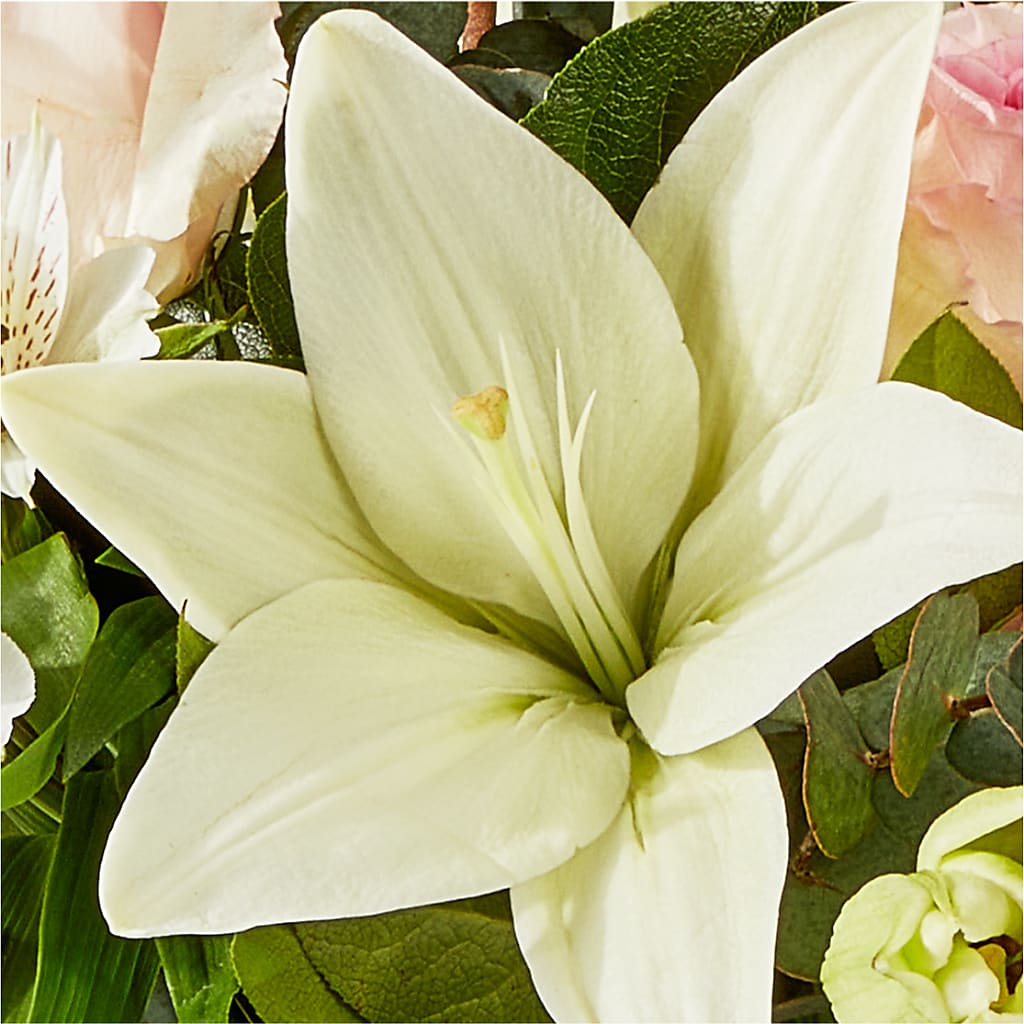 Ballet Slippers Bouquet – SOUTHERN BELLE'S FLORIST, Easley SC