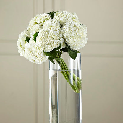 White Hydrangea Hand-Tied Bouquet – SOUTHERN BELLE'S FLORIST, Easley SC