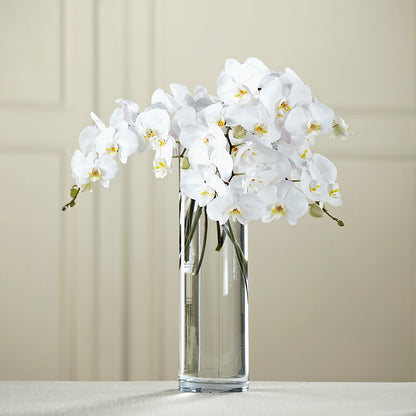 White Phalaenopsis Bouquet – SOUTHERN BELLE'S FLORIST, Easley SC