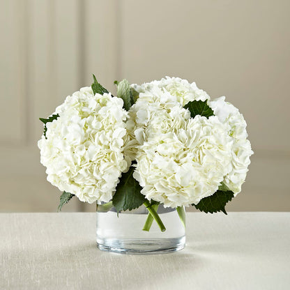 White Hydrangea Bouquet – SOUTHERN BELLE'S FLORIST, Easley SC