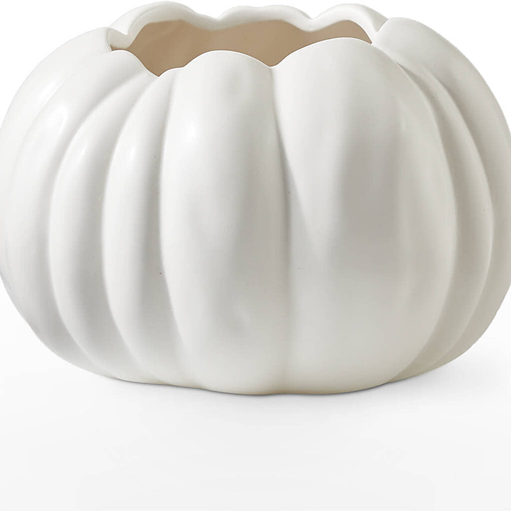 Pumpkin to Talk About Bouquet – SOUTHERN BELLE'S FLORIST, Easley SC
